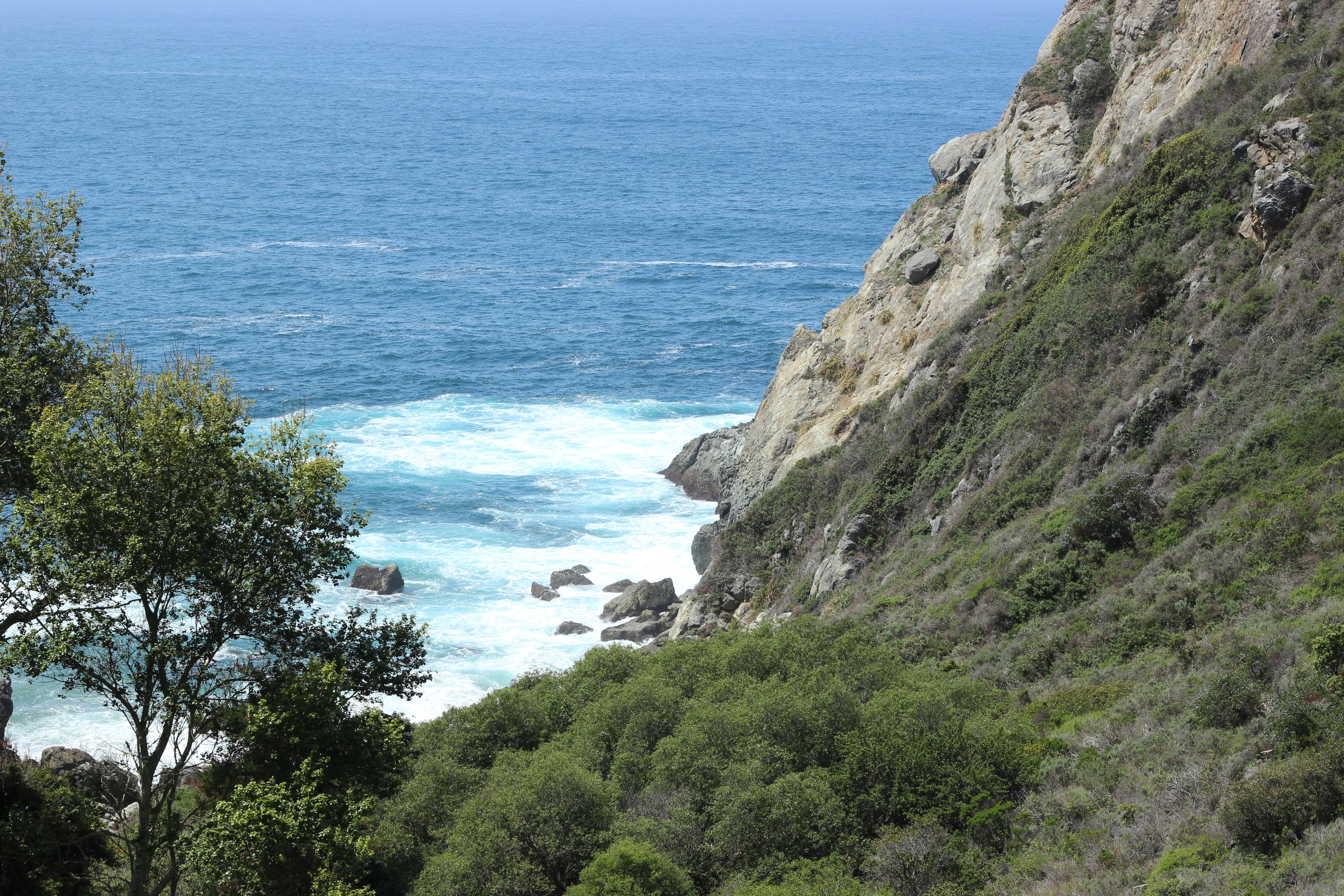 Partington cove from Hwy 1