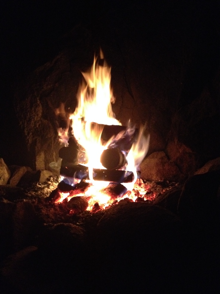 Log Cabin Fire at Lodgepole