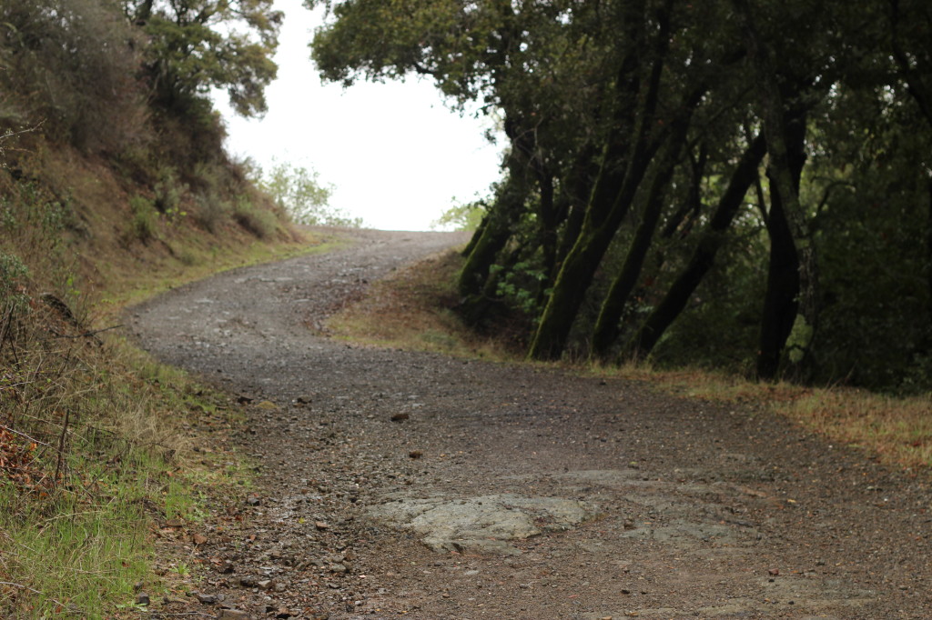 Woods trail to Bald Mountain