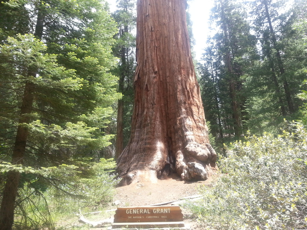 General Grant Tree, Sequoia and Kings Canyon National Park