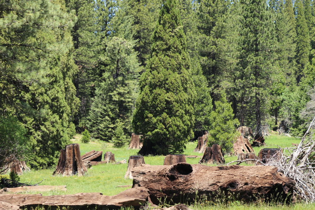 Sunken Meadow, Sequoia and Kings Canyon National Park