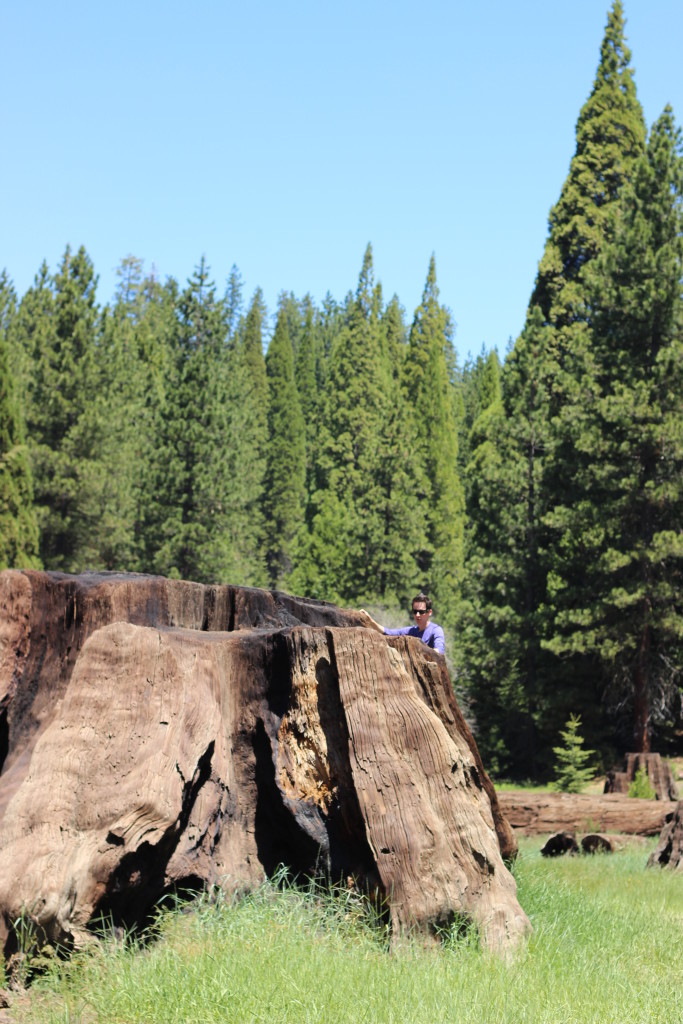 Sequoia and Kings Canyon National Park: Sunken Meadow