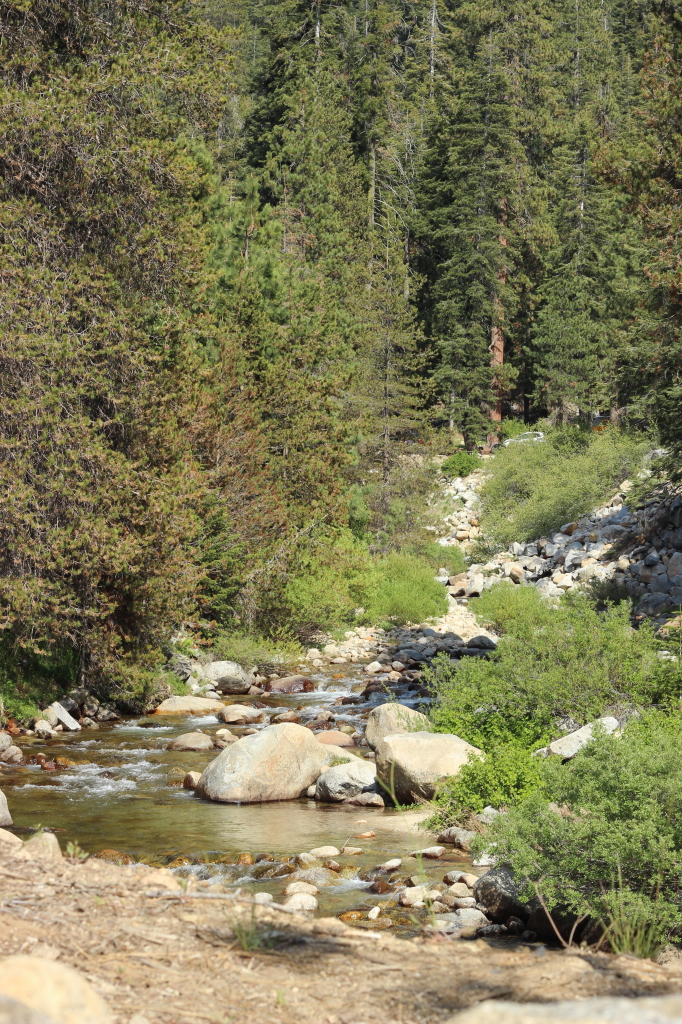 Tokopah Falls Trail along the river