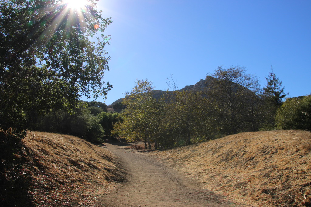 Bishop Peak trail