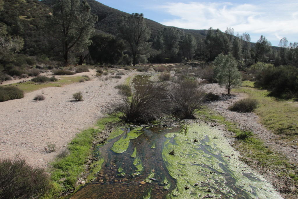 Pinnacles National Park flats