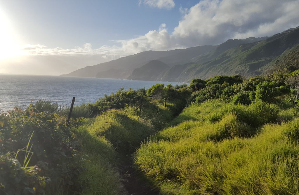 Kirk Creek campground trail