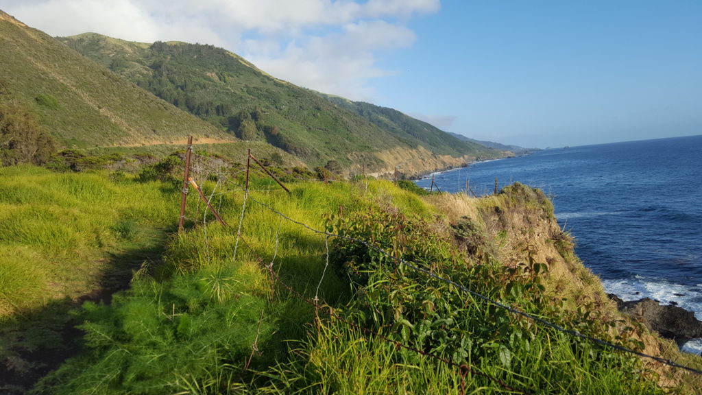 Kirk Creek trail to the beach