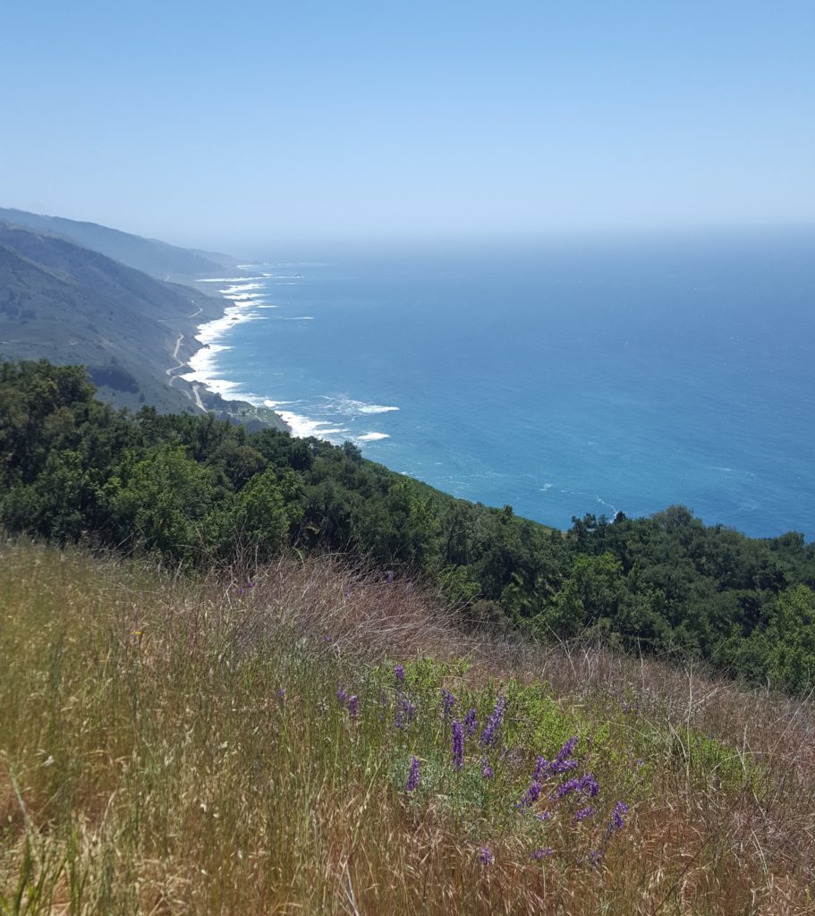 Vicente Flat Trail, Big Sur CA