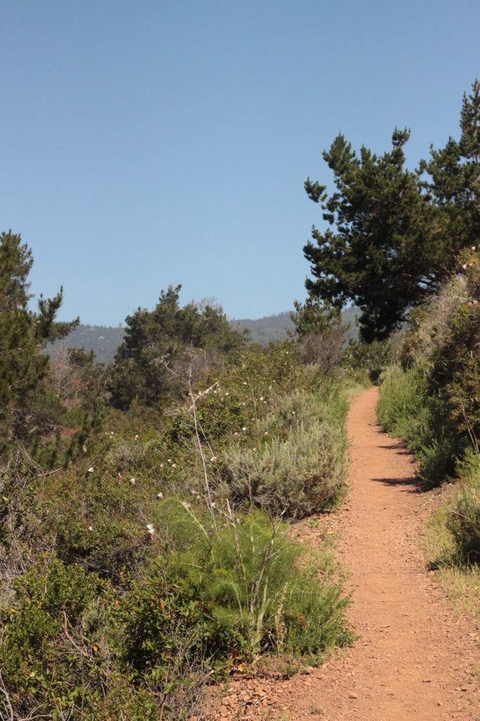 Vicente Flat Trail