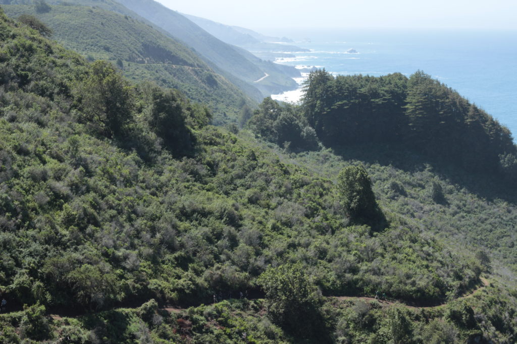 Hiking Vicente Trail, Big Sur