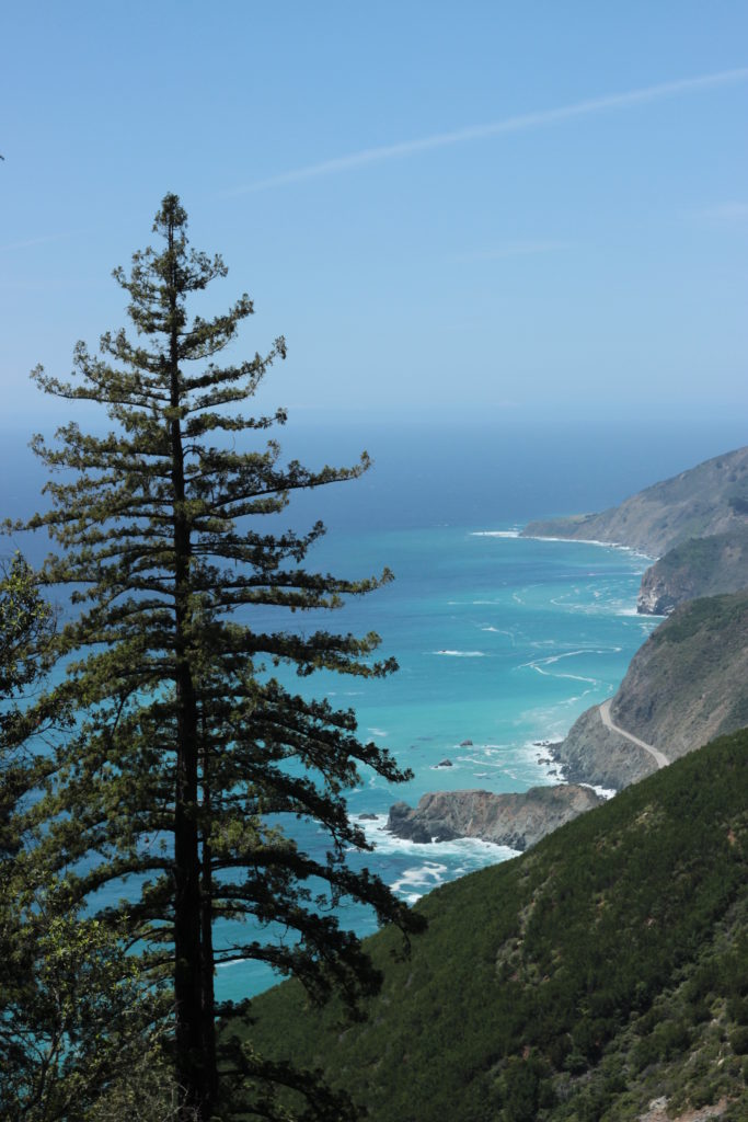 Big Sur coast from Vicente Trail