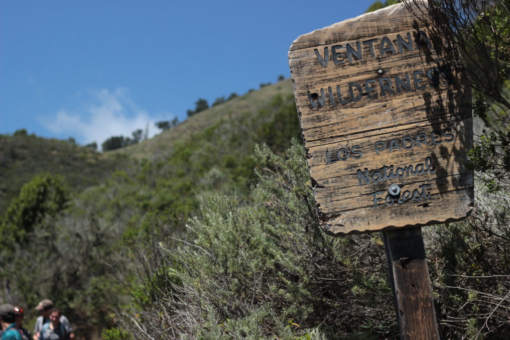 Vicente Flat Trail, Ventana Wilderness