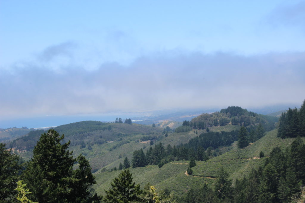 Purisima Creek Redwoods vista