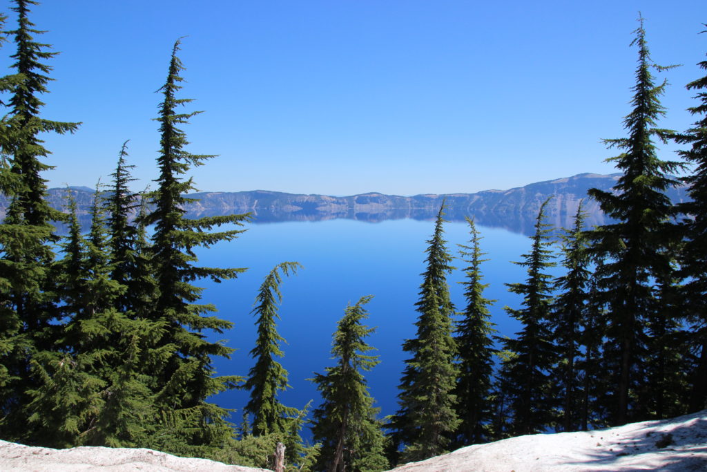 Chipmunk Trap, Crater Lake National Park area, Oregon. We s…