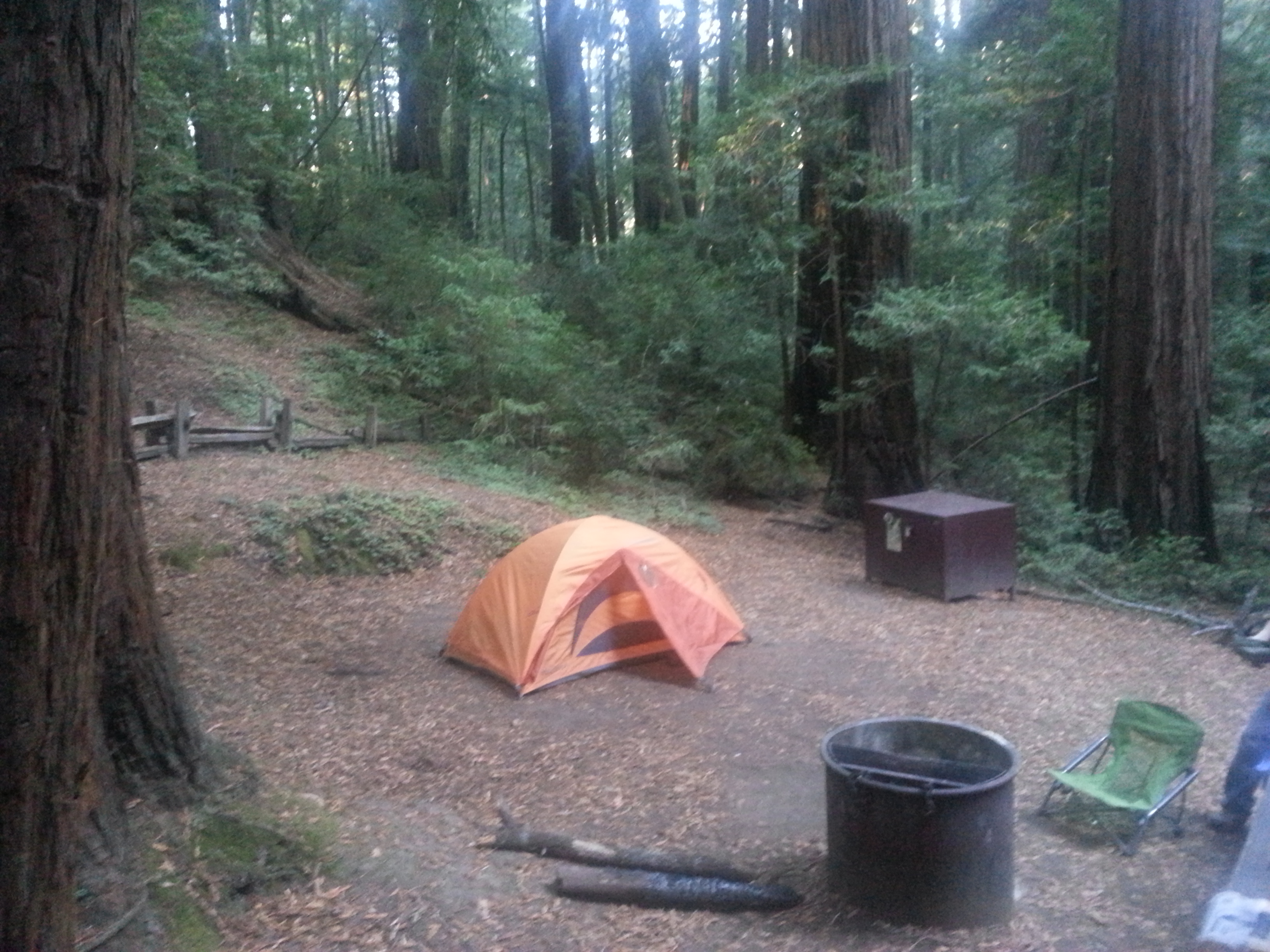Butano State Park: Ben Ries Campground