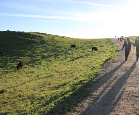 Mission Peak Hike