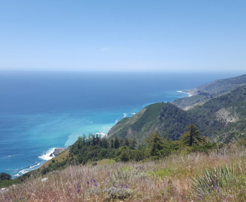 Big Sur: Vicente Flat Trail